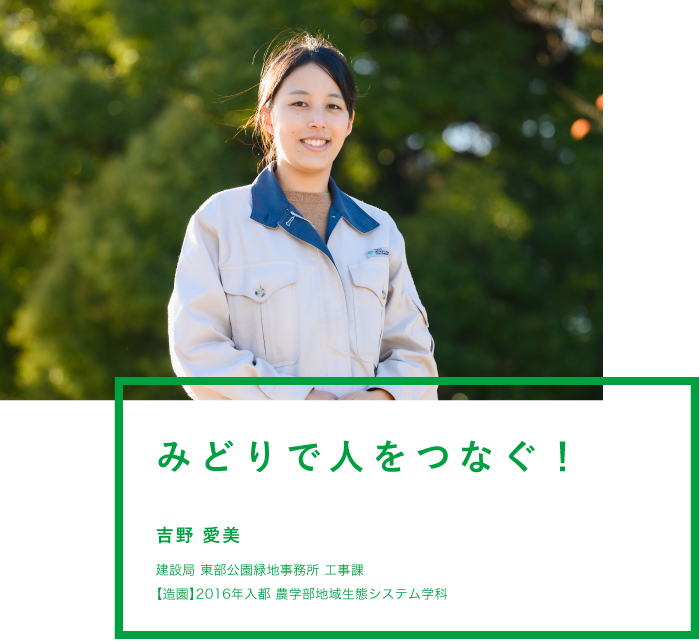 みどりで人をつなぐ！ 吉野 愛美 建設局 東部公園緑地事務所 工事課 【造園】2016年入都 農学部地域生態システム学科